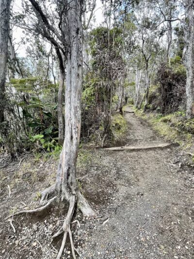 Byron Ledge Trail - Hawaii Volcanoes National Park, HI