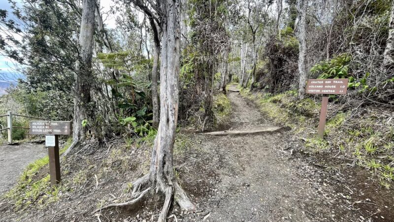 Byron Ledge Trail - Hawaii Volcanoes National Park, HI