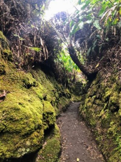 Halema‘uma‘u Trail - Hawaii Volcanoes National Park, HI