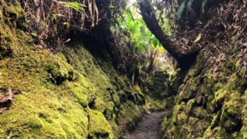 Halema‘uma‘u Trail - Hawaii Volcanoes National Park, HI