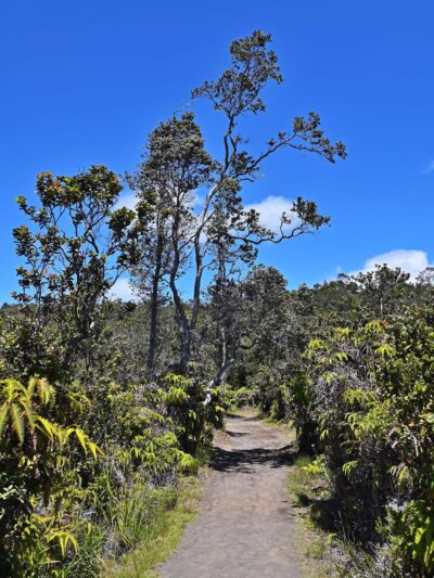 Halema‘uma‘u Trail - Hawaii Volcanoes National Park, HI