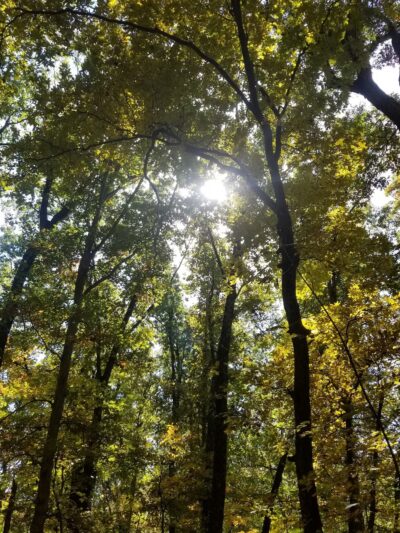 Vastwood Park - Hawesville, KY