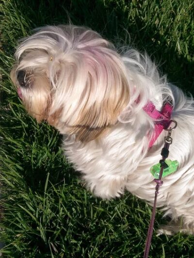 Glasgow Park - Hawthorne, CA