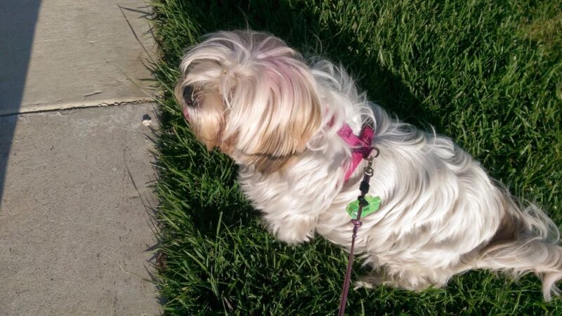 Glasgow Park - Hawthorne, CA