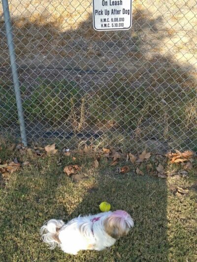 Glasgow Park - Hawthorne, CA