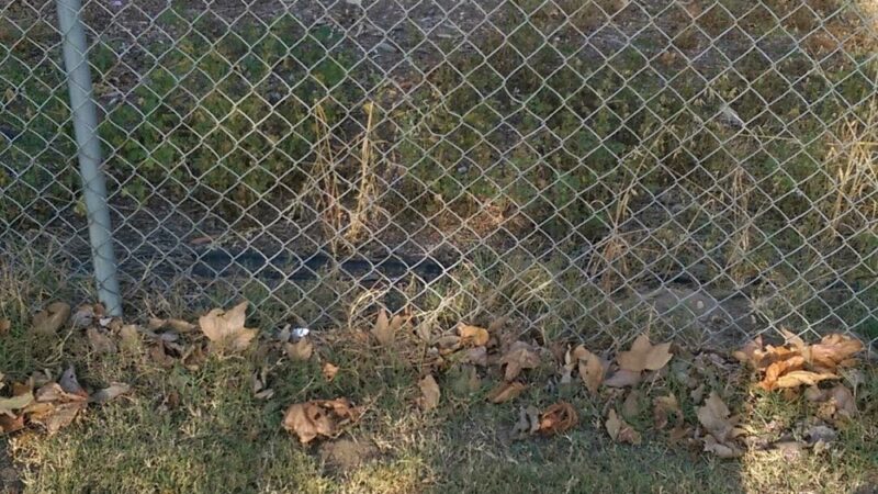 Glasgow Park - Hawthorne, CA