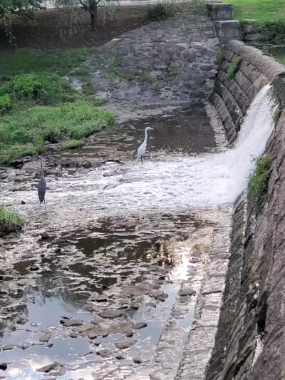 Goffle Park - Hawthorne, NJ
