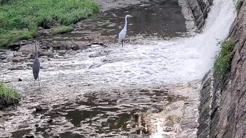 Goffle Park - Hawthorne, NJ