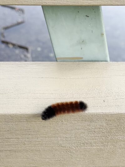 Hawthorne-Park-Parking - Hawthorne, NJ