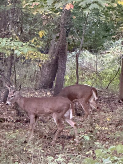 Hawthorne-Park-Parking - Hawthorne, NJ