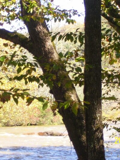 Cool Park - Hayesville, NC