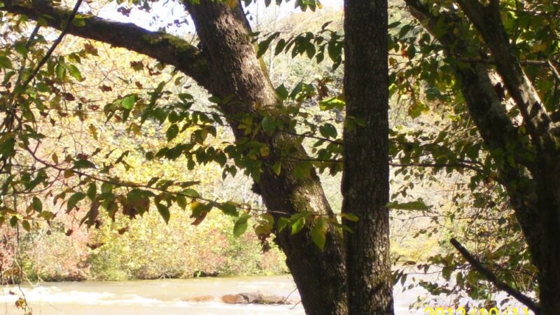 Cool Park - Hayesville, NC