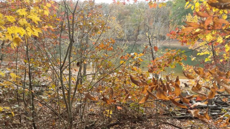Jack Rabbit Trailhead - Hayesville, NC