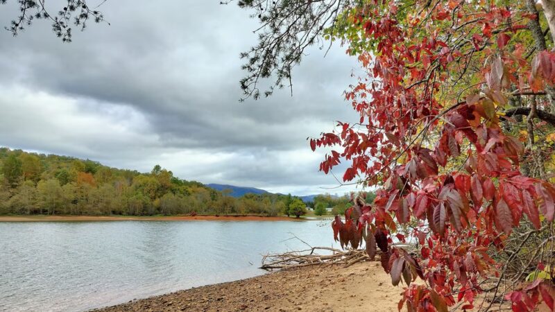 Jack Rabbit Trailhead - Hayesville, NC