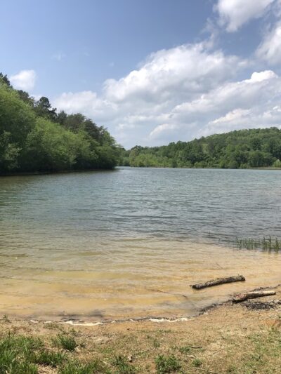 Jack Rabbit Trailhead - Hayesville, NC