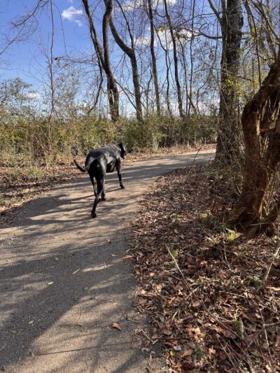 Trojan Trail Greenway - Hazel Green, AL