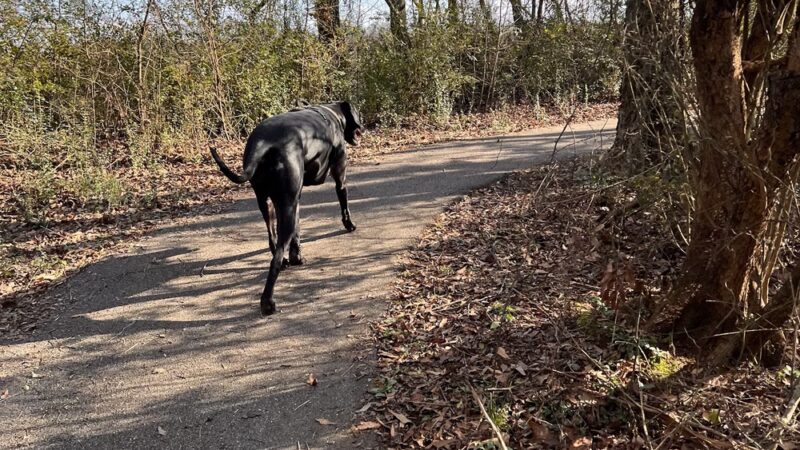 Trojan Trail Greenway - Hazel Green, AL