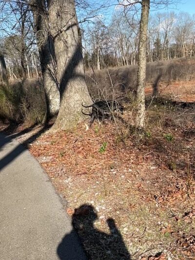 Trojan Trail Greenway - Hazel Green, AL