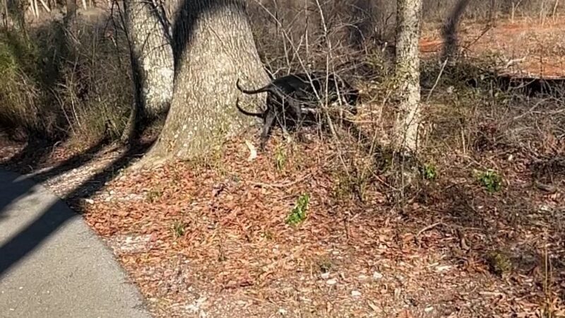 Trojan Trail Greenway - Hazel Green, AL