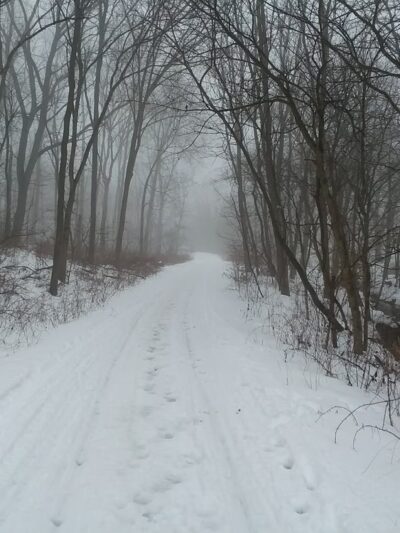 Hardscrabble Prairie State Natural Area - Hazel Green, WI