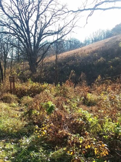 Hardscrabble Prairie State Natural Area - Hazel Green, WI