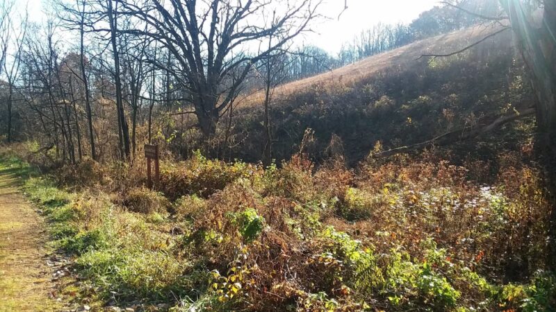 Hardscrabble Prairie State Natural Area - Hazel Green, WI