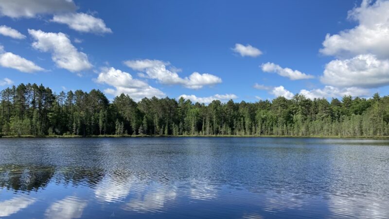 McNaughton Lake Hiking Trail - Hazelhurst, WI