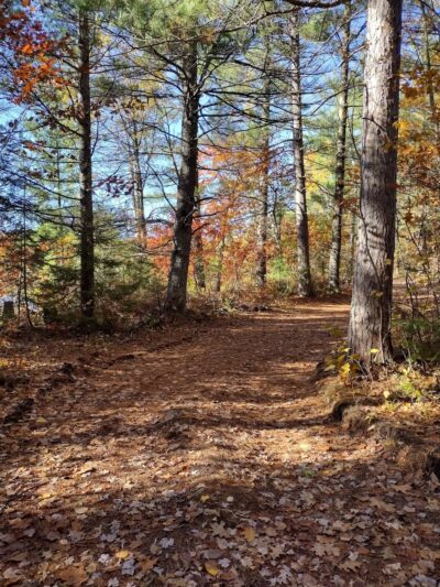 McNaughton Lake Hiking Trail - Hazelhurst, WI