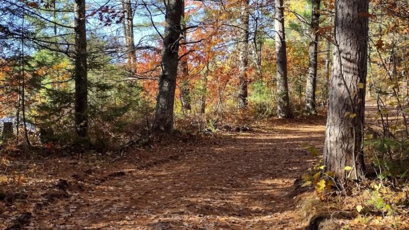 McNaughton Lake Hiking Trail - Hazelhurst, WI
