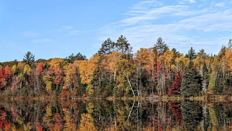 McNaughton Lake Hiking Trail - Hazelhurst, WI