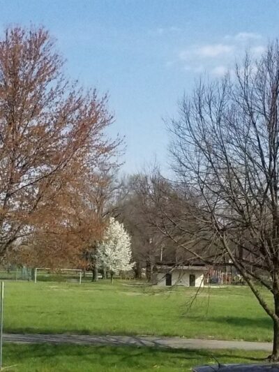 Aubuchon Park - Hazelwood, MO