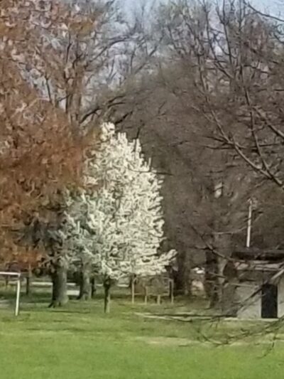 Aubuchon Park - Hazelwood, MO