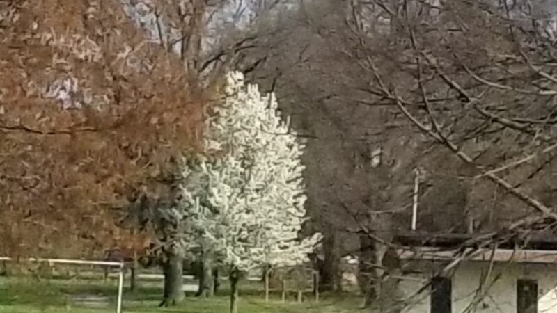 Aubuchon Park - Hazelwood, MO