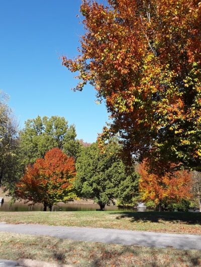 Harry S. Truman Park - Hazelwood, MO