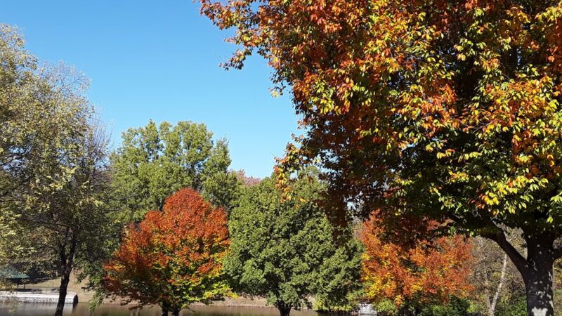 Harry S. Truman Park - Hazelwood, MO