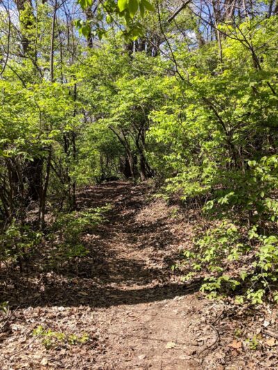 Harry S. Truman Park - Hazelwood, MO