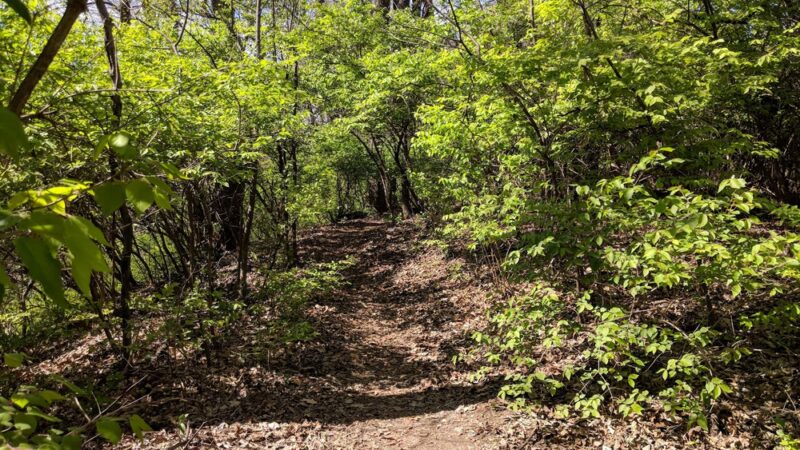 Harry S. Truman Park - Hazelwood, MO