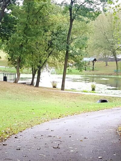 Harry S. Truman Park - Hazelwood, MO