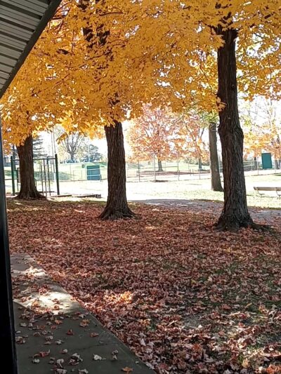 Musick Park - Hazelwood, MO