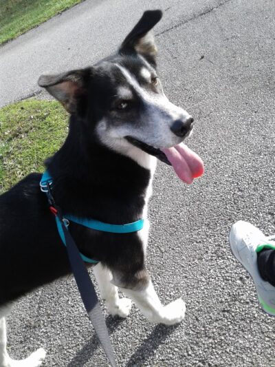 Queen Ann Park - Hazelwood, MO