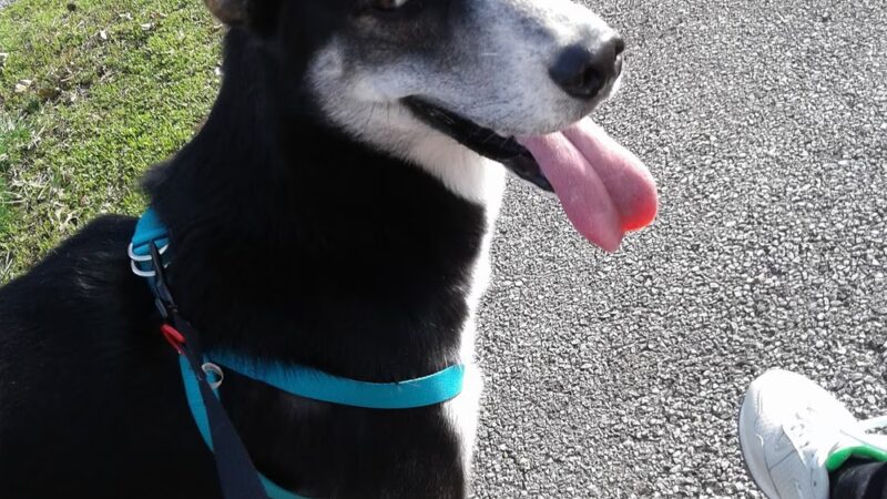 Queen Ann Park - Hazelwood, MO