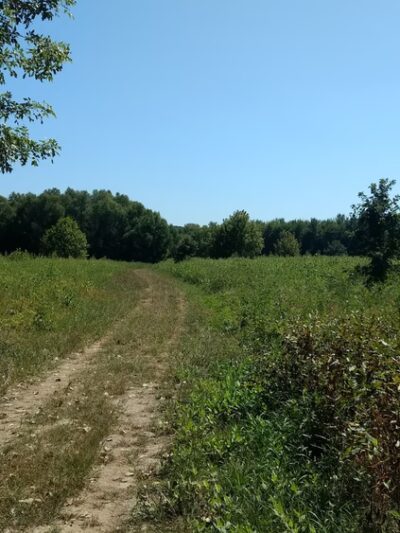 Saint Stanislaus Conservation Area - Hazelwood, MO