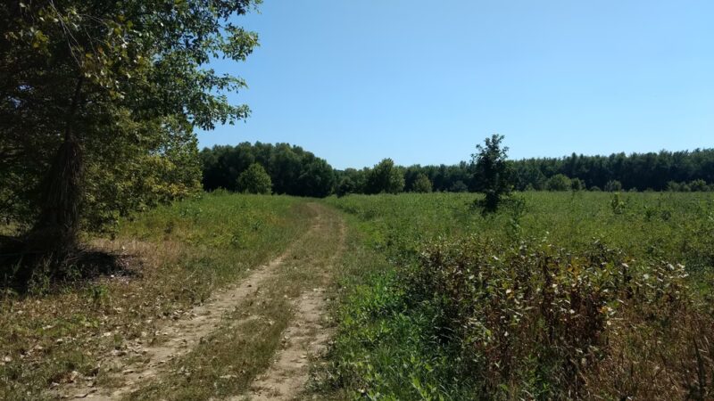 Saint Stanislaus Conservation Area - Hazelwood, MO