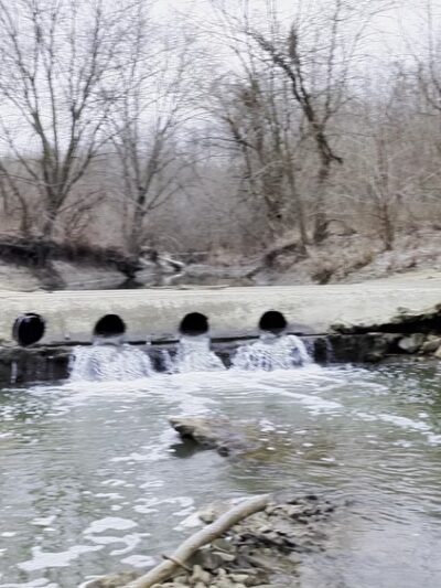 Saint Stanislaus Conservation Area - Hazelwood, MO