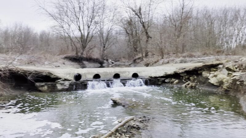 Saint Stanislaus Conservation Area - Hazelwood, MO