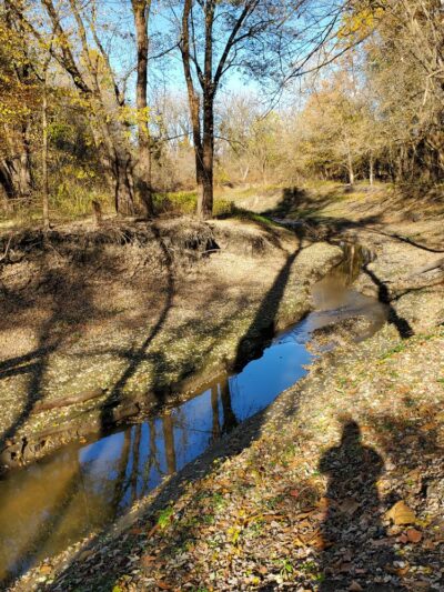 Saint Stanislaus Conservation Area - Hazelwood, MO