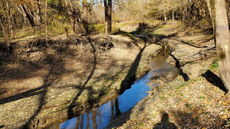 Saint Stanislaus Conservation Area - Hazelwood, MO