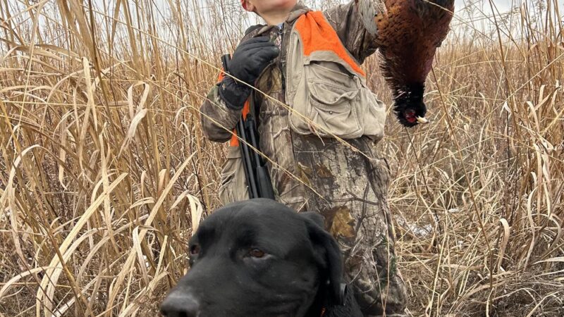 Heartland Family Paws - ,