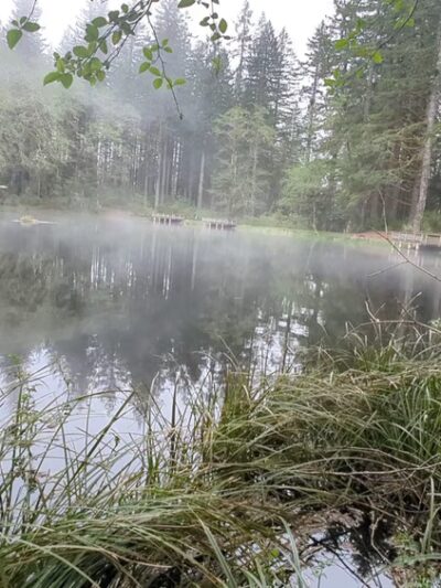 Hebo Lake Campground - Hebo, OR