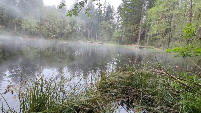 Hebo Lake Campground - Hebo, OR